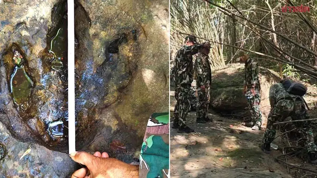 Experts Probe Possible Dinosaur Tracks in Udon Thani Forest