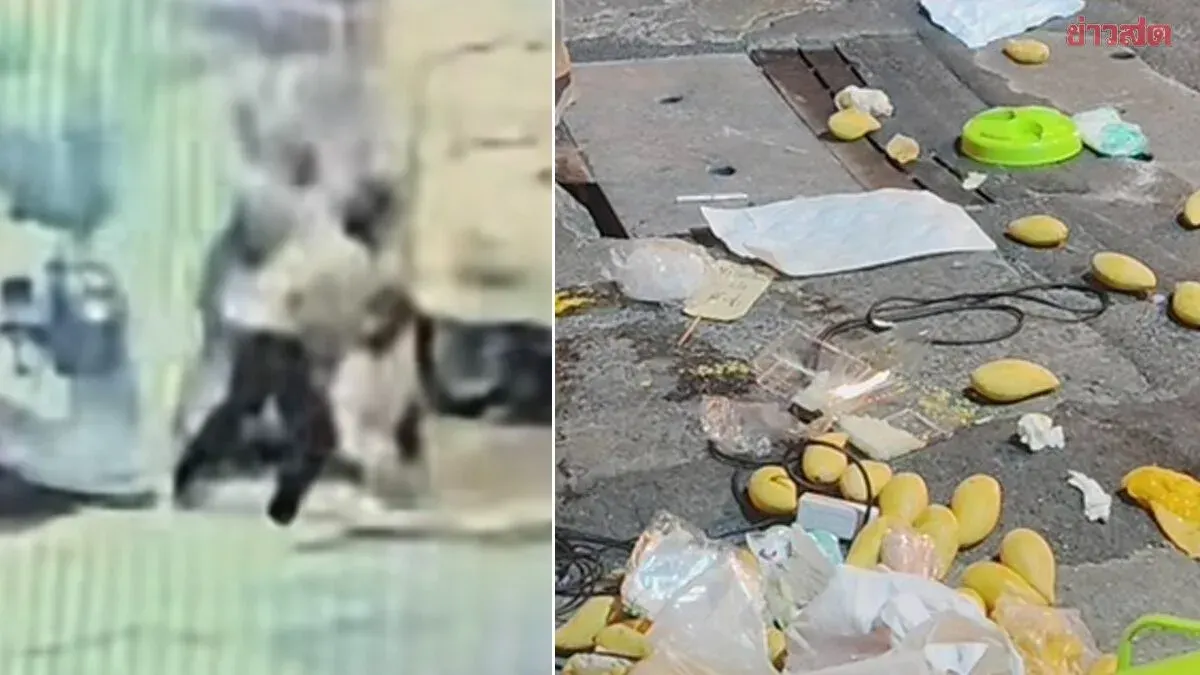 CCTV Reveals New Angle in Sticky Rice Tragedy: Vendor's Stabbing Death Found to Be Self-Defense