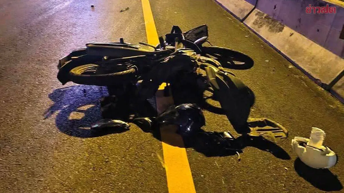 Motorcyclist Killed After Hitting Dog, Hit Again by Pickup