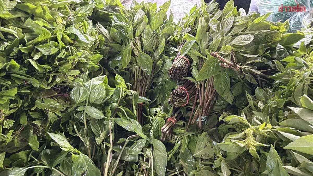 Vegetable Prices Double in Nakhon Ratchasima After Heavy Rains