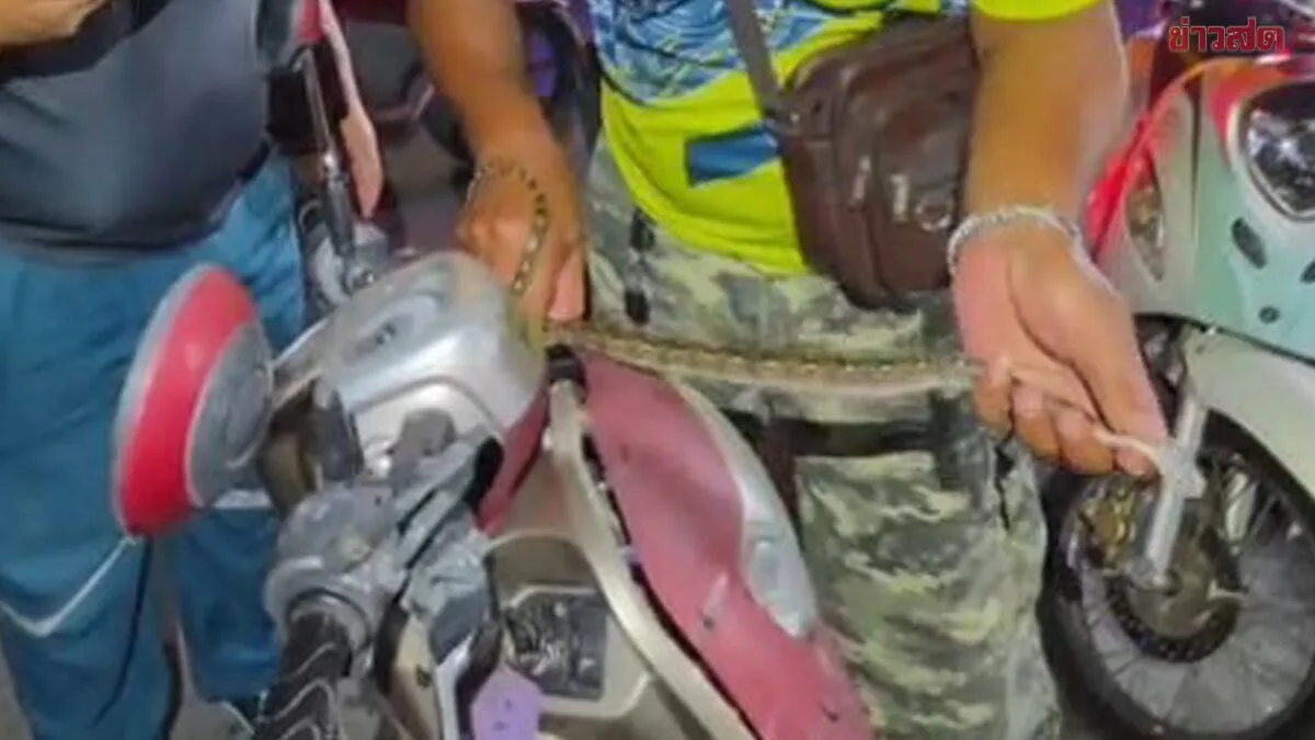 Soccer Player Finds Snake in Motorcycle Headlight