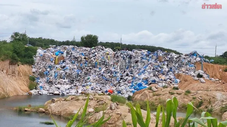 Illegal Chemical Waste Dumped in Pineapple Field Fouls Water