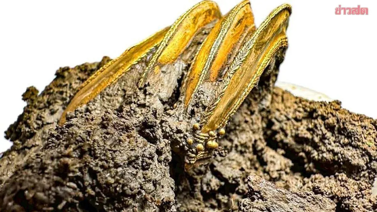 Burial of High-Ranking Individual Unearthed: Ancient Human Skeleton Wearing Gold Bracelets