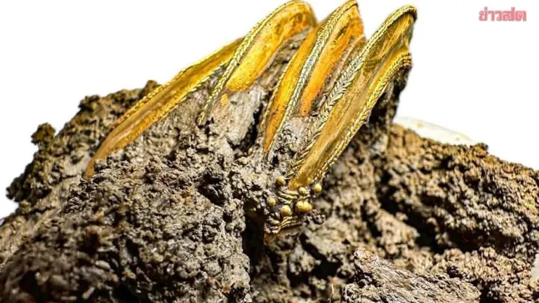 Burial of High-Ranking Individual Unearthed: Ancient Human Skeleton Wearing Gold Bracelets