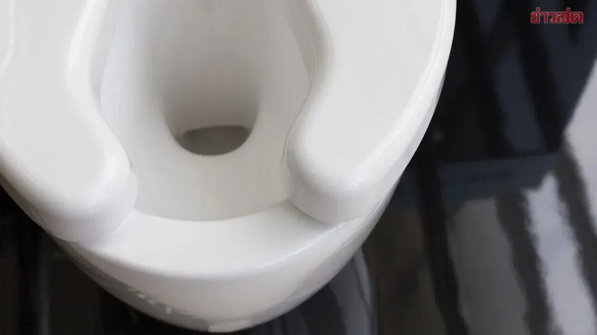 Mystery Solved! Why Public Toilet Seats Have That Front Gap—It's Not a Manufacturing Error, It Has a Real Purpose