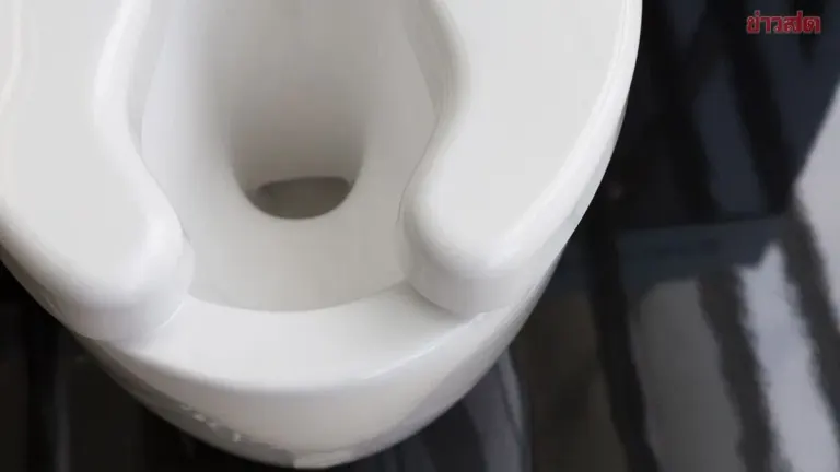 Mystery Solved! Why Public Toilet Seats Have That Front Gap—It's Not a Manufacturing Error, It Has a Real Purpose