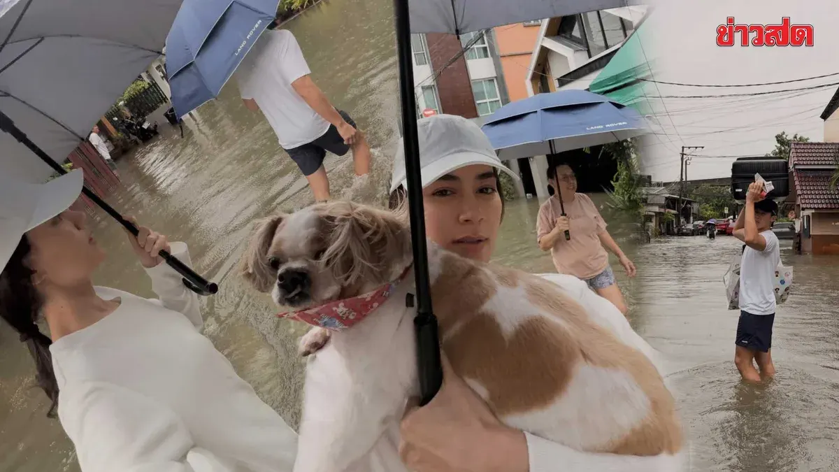 Heavy Rain Swamps Bangkok, Celebrities Help Evacuate During Flooding