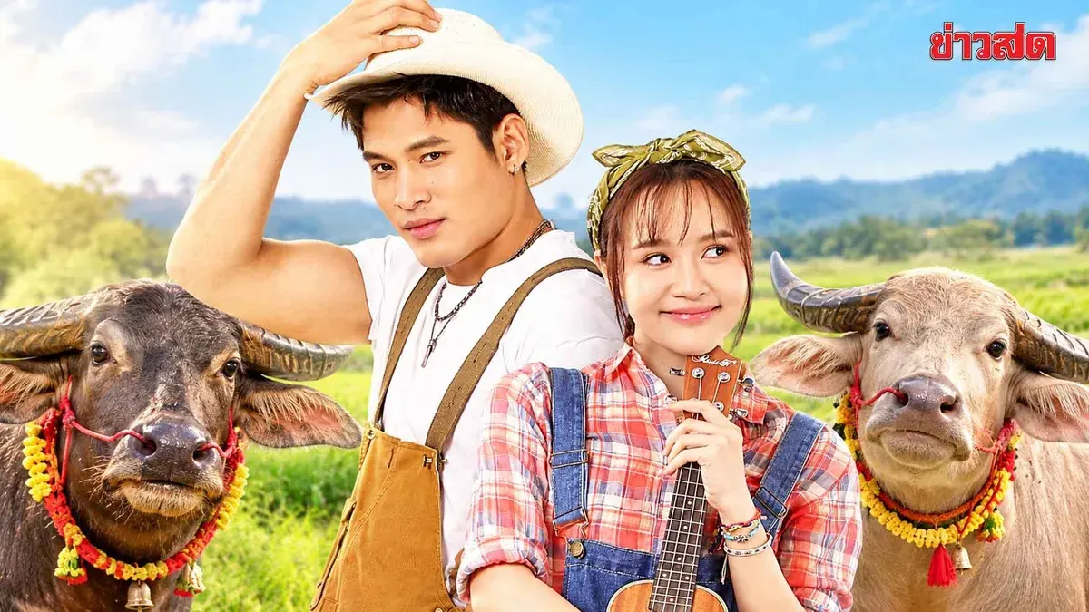 Channel One31 Debuts Buffalo Romance Drama 'Hom Rak Ban Thung'