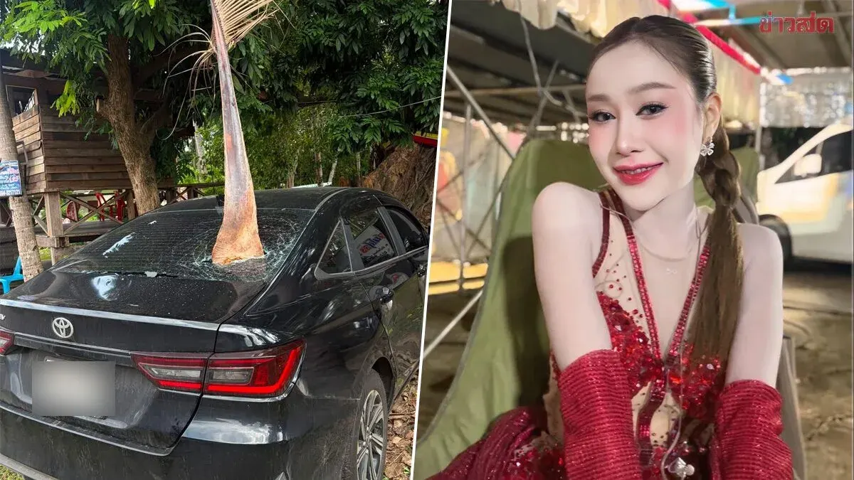 Coconut Frond Pierces Singer's Car Window in Freak Accident