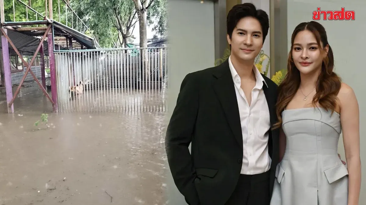 Thai Actors Launch Appeal to Help Flood-Stricken Dogs and Cats