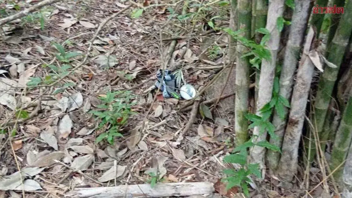 Wild Elephant Kills 57-Year-Old Woman in Rubber Plantation