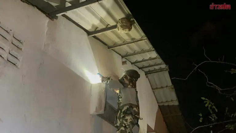 Homeowner Alarmed by Three-Story Wasp Nest the Size of a Volleyball on Eaves; Rescue Workers Called in for Removal