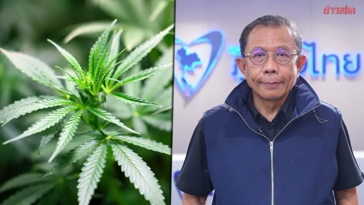 Pheu Thai Reaffirms Medical Cannabis, Not Recreational Use