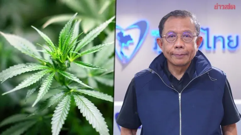 Pheu Thai Reaffirms Medical Cannabis, Not Recreational Use