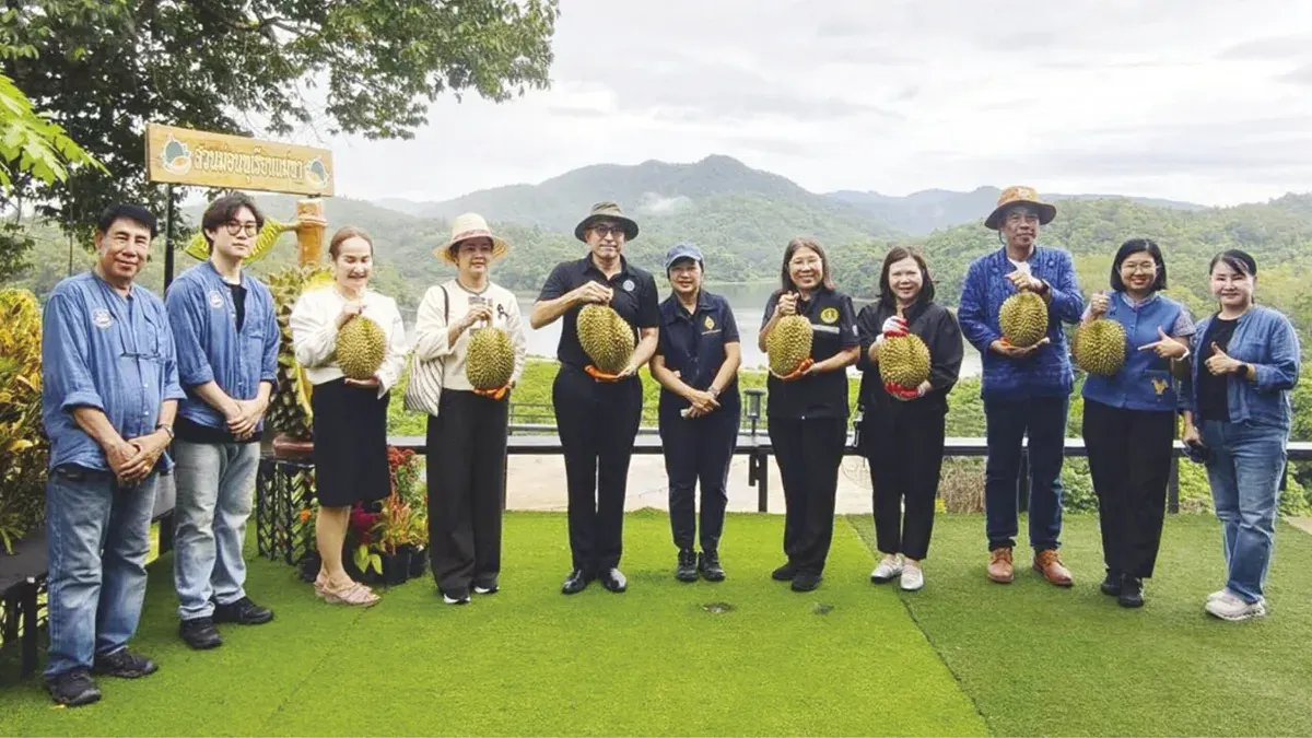 Lampang's Mon Thong Durian Emerges as Quality Crop
