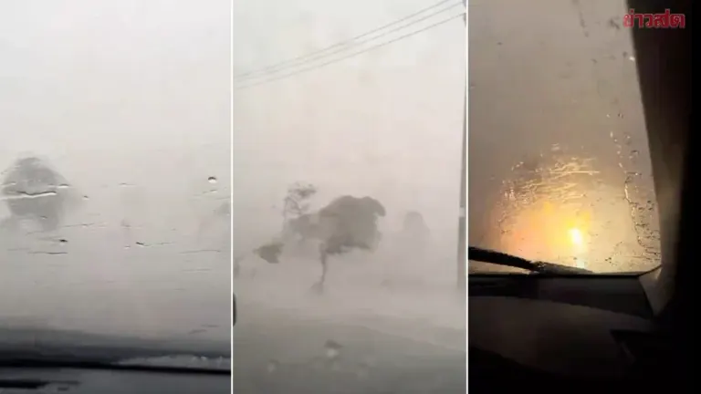 Woman Narrowly Escapes Death Trapped in Car During Violent Storm as Power Pole Crashes Down and Explodes