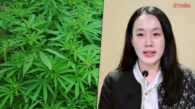 Government Defends Cannabis Policy as Medical Only