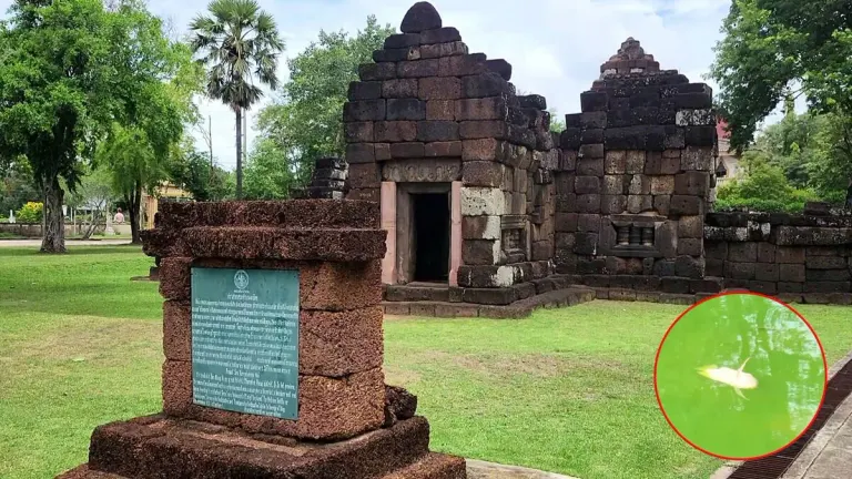 Ancient Khmer Temple Pond Dries Up, Fish Die