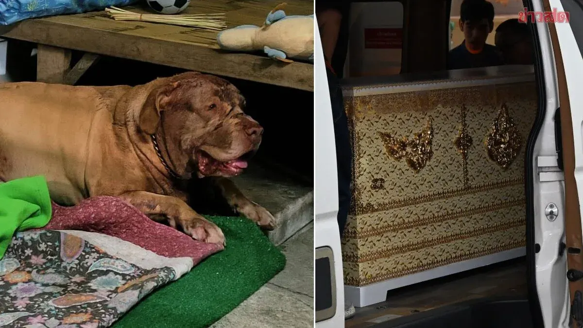 Autopsy Reveals Fatal Dog Attack Injuries on Woman's Face and Neck