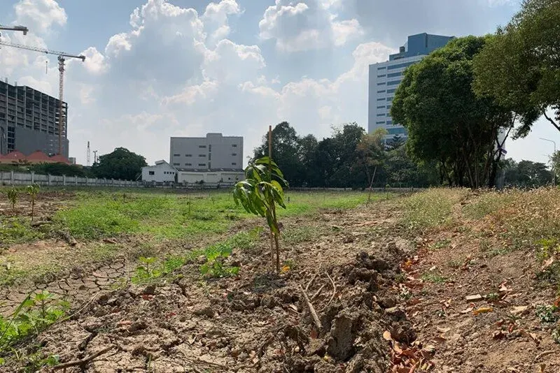 REIC Reports Explosive Land Price Growth in Phra Khanong-Bang Na-Suan Luang, Up 29.8%