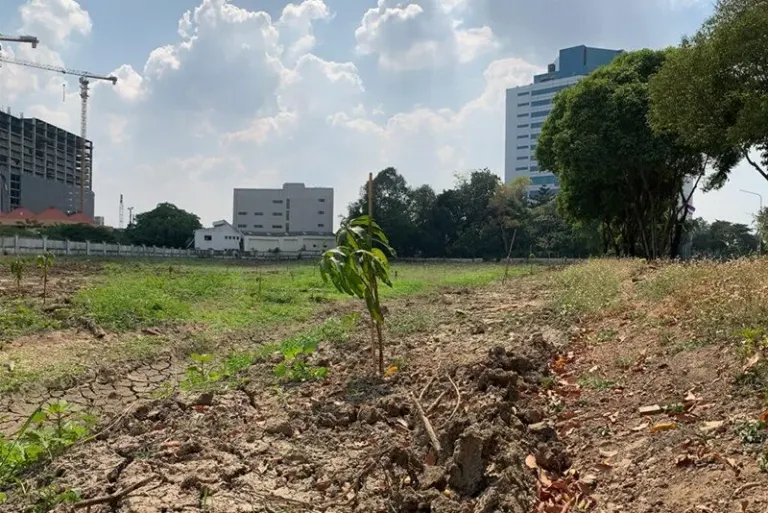 REIC Reports Explosive Land Price Growth in Phra Khanong-Bang Na-Suan Luang, Up 29.8%
