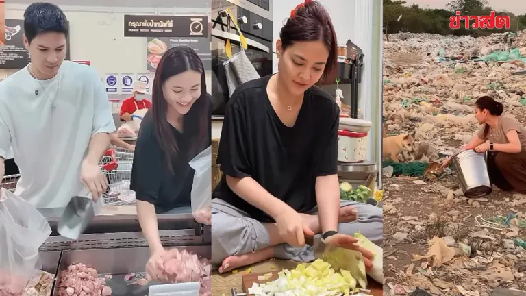 Entertainment Couple Pooklook and Mike Cook Meals for Hundreds of Stray Dogs on Birthday Celebration