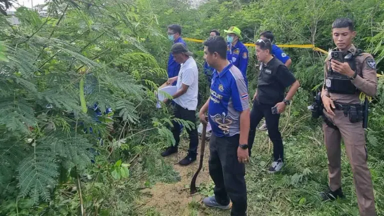 Missing Man Found Alive After Two Days Lost in Forest