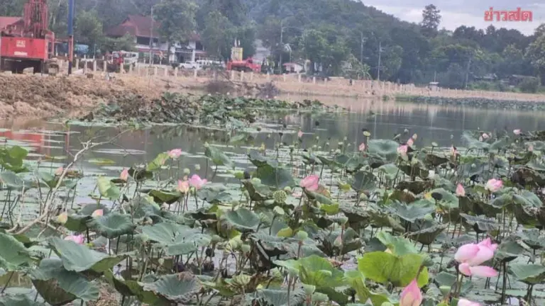 Chiang Mai Halts Loy Krathong Festival Over Scam Warning