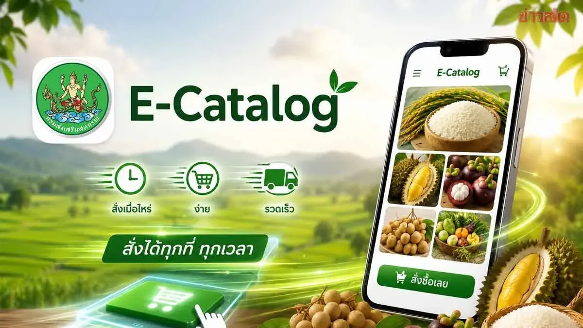 Cooperative Promotion Department Prepares to Launch E-Catalog Platform for Online Cooperative Products