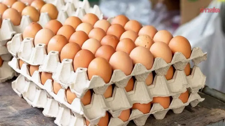 Egg Prices Rise Again Across Thailand