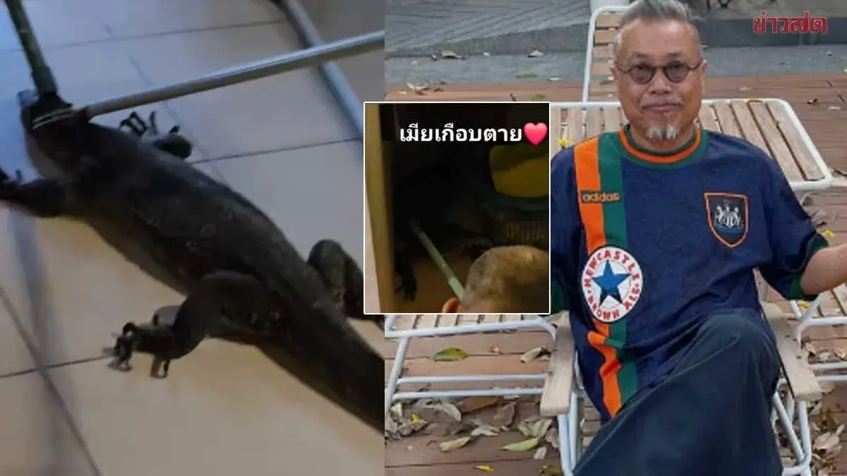 Massive Python Invades Home: Pong Gapol Reveals Wife Nearly Died in Fright, Screaming She Saw a Ghost