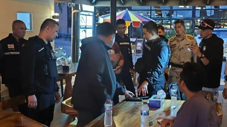 Slow Loris Seized in Phuket Crackdown on Illegal Wildlife Trade