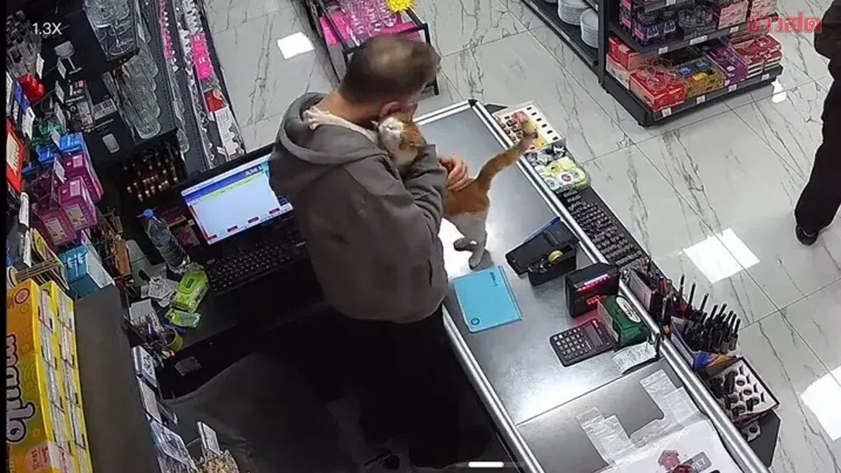Heartwarming Beyond Measure! Stray Cat Never Forgets Her Rescuer, Hugs Him Every Day