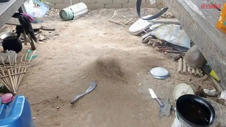Son Attacks Mother With Gas Canister and Knife Over 10 Baht