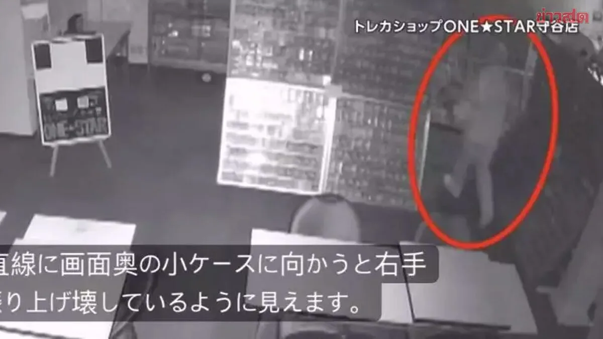 Thief Targets Rare Pokemon Cards in Japan Shop Heist