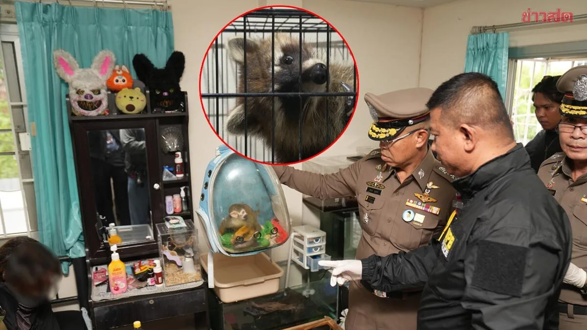 Police Chief Announces Arrest of Husband and Wife Exotic Animal Thieves; Room Search Yields Dozens of Animals—Suspects Claim They Were for Personal Collection, Not Sale