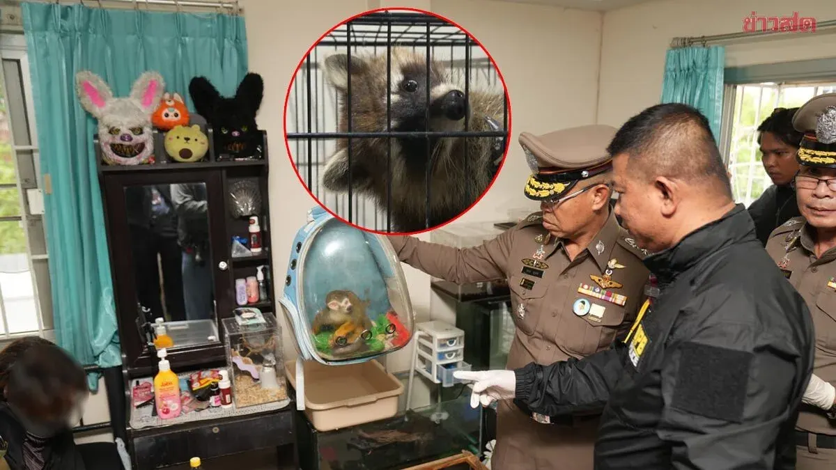Police Chief Announces Arrest of Husband and Wife Exotic Animal Thieves; Room Search Yields Dozens of Animals—Suspects Claim They Were for Personal Collection, Not Sale