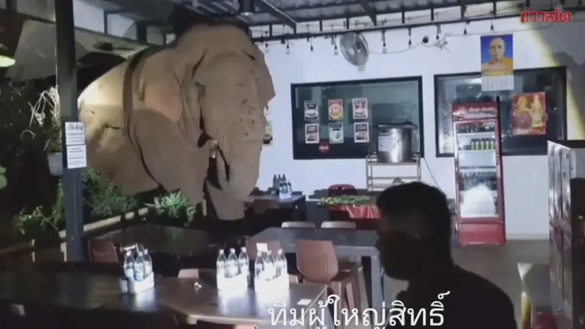 Wild Elephant Raids Restaurant, Damages Property in Nakhon Ratchasima