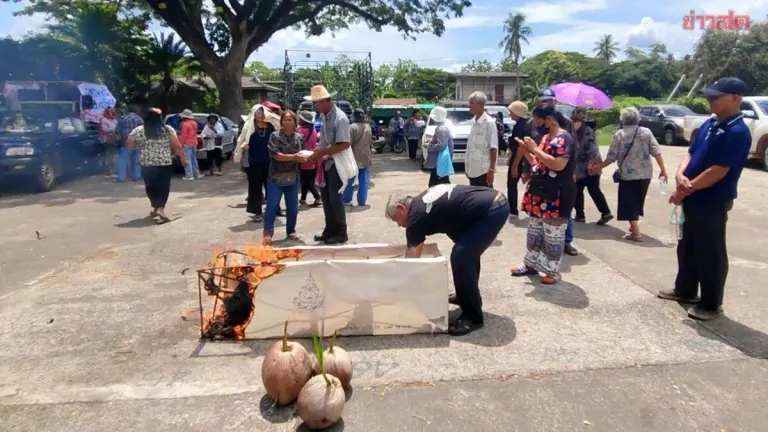 Coconut Farmers Demand FDA Explanation on Frozen Coconut Milk Imports