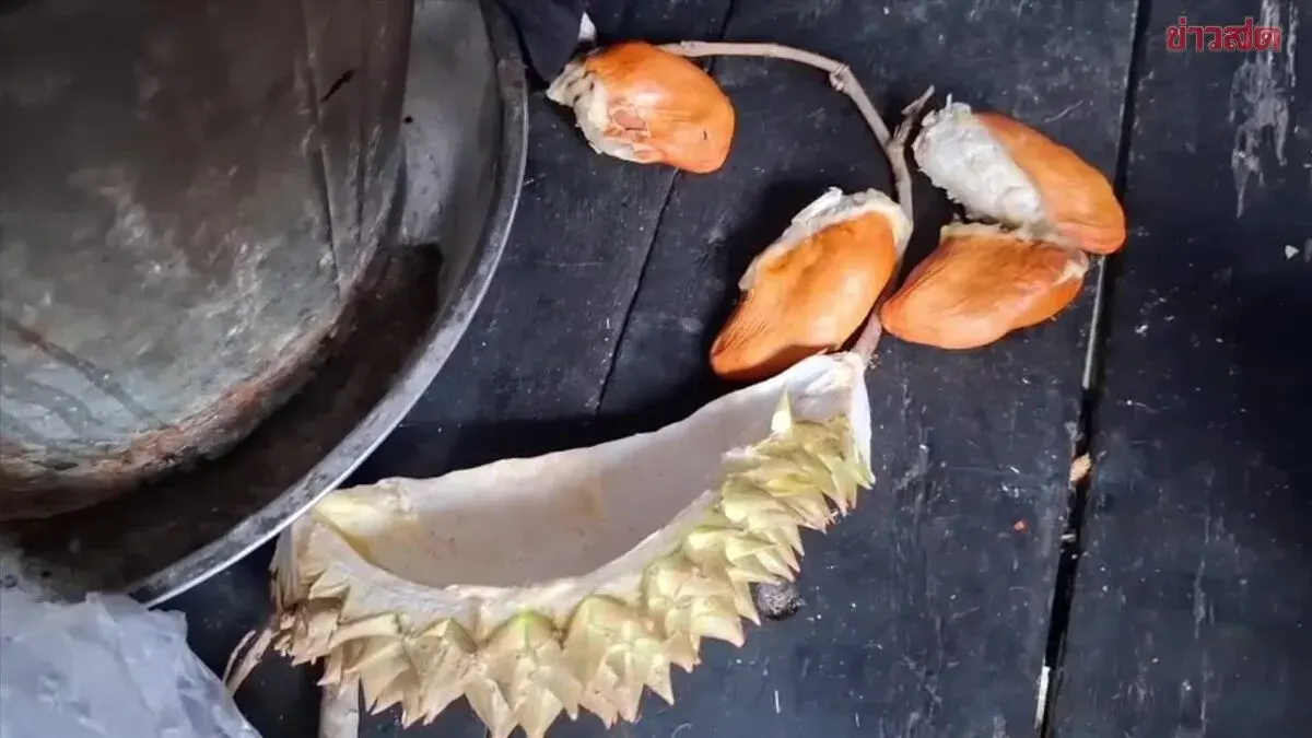 Man Collapses After Drinking Beer and Eating Durian