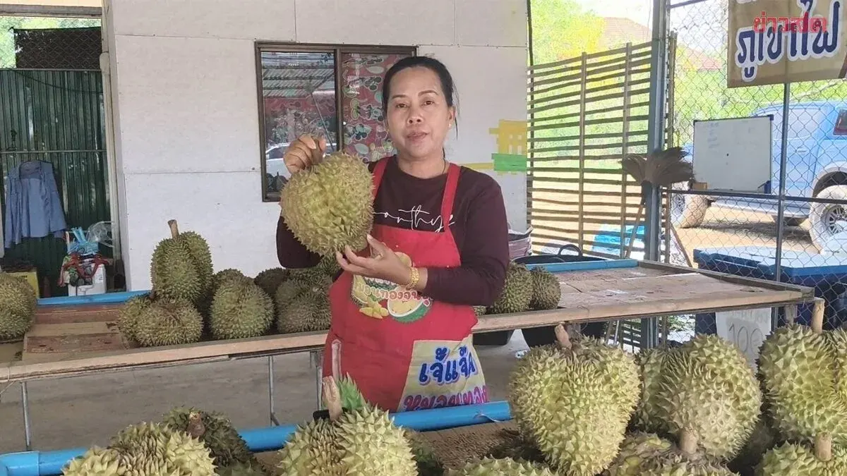 Durian Season Bustling in Phrae: Jao Jaek Shop Launches Gold Prize Promotion
