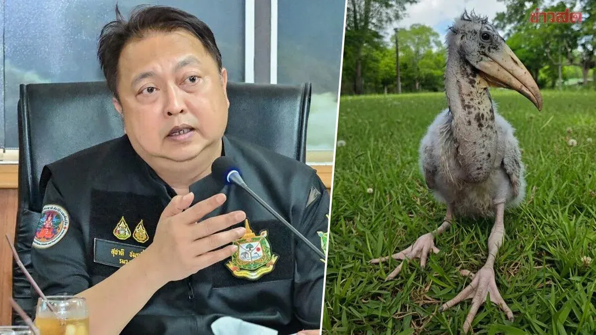 Environment Minister Suchart Celebrates Khao Khiao Open Zoo's First-Ever Successful Hatching of Masked Finback Birds in Thailand After 40 Years of Extinction