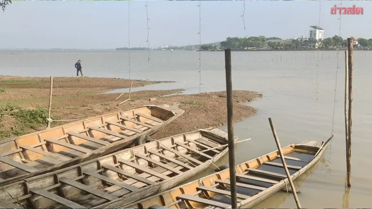 Erratic Weather Brings Rain and Heat; Phayao Reservoir Water Level Drops Sharply as Dead Fish Float Ashore Amid Foul Odors