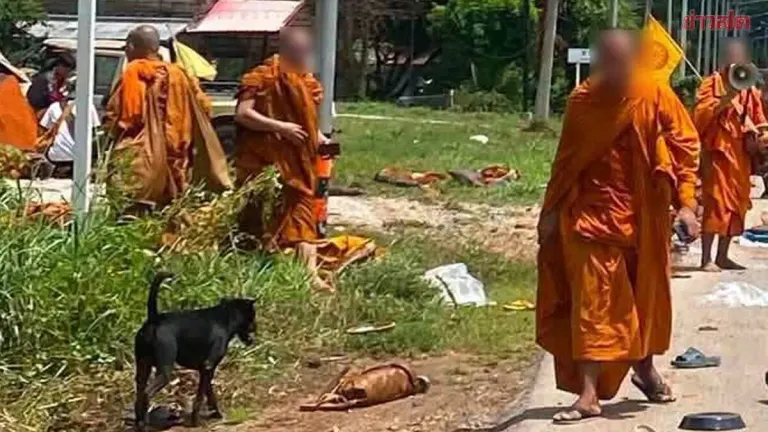 Stolen Truck Driven By 11-Year-Old Hits Monks Procession, 8 Dead