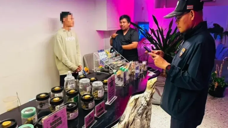Myanmar Worker Arrested in Kata Cannabis Shop Raid