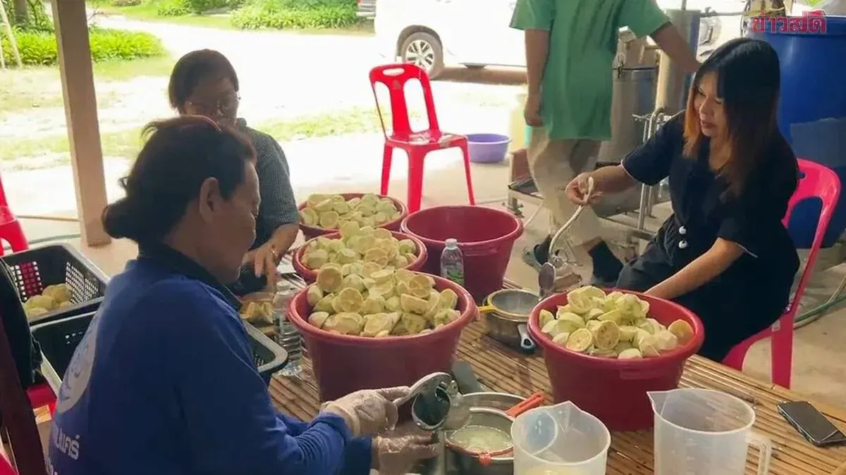 Ancient Citrus Fruit Transformed Into Five Products for Wellness Tourism