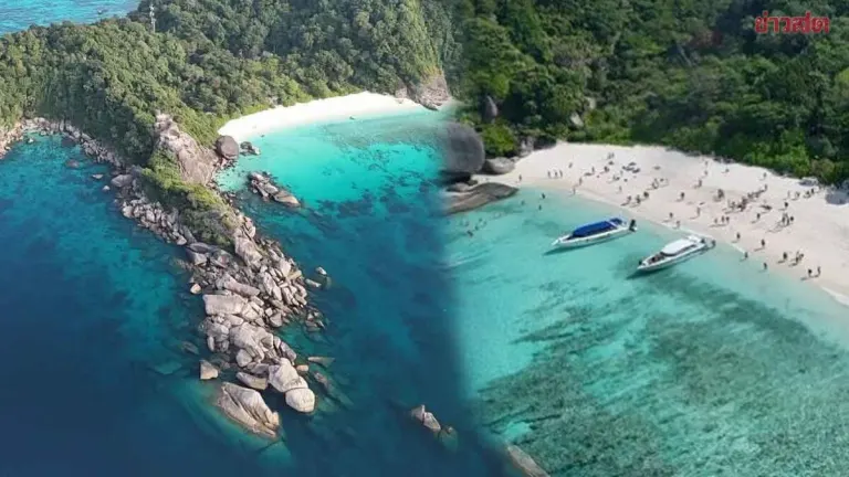 Similan Islands Takes the Spotlight Again! Donald Duck Bay Cracks the Global Top 10—Thailand's Crystal-Clear Waters Are Truly Healing