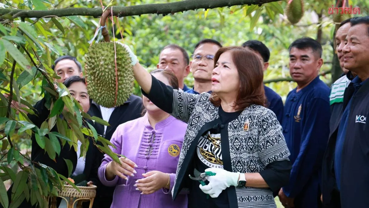 Phitsanulok Opens Ban Yaeng Durian Festival 2026