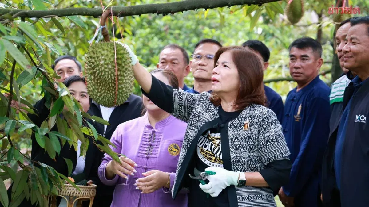 Phitsanulok Opens Ban Yaeng Durian Festival 2026