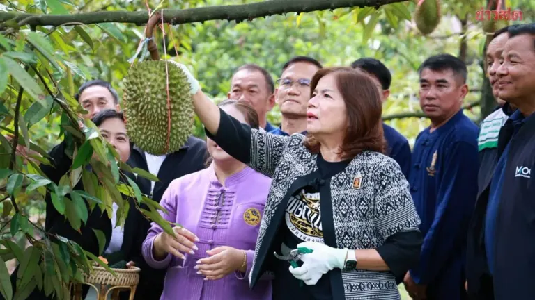 Phitsanulok Opens Ban Yaeng Durian Festival 2026